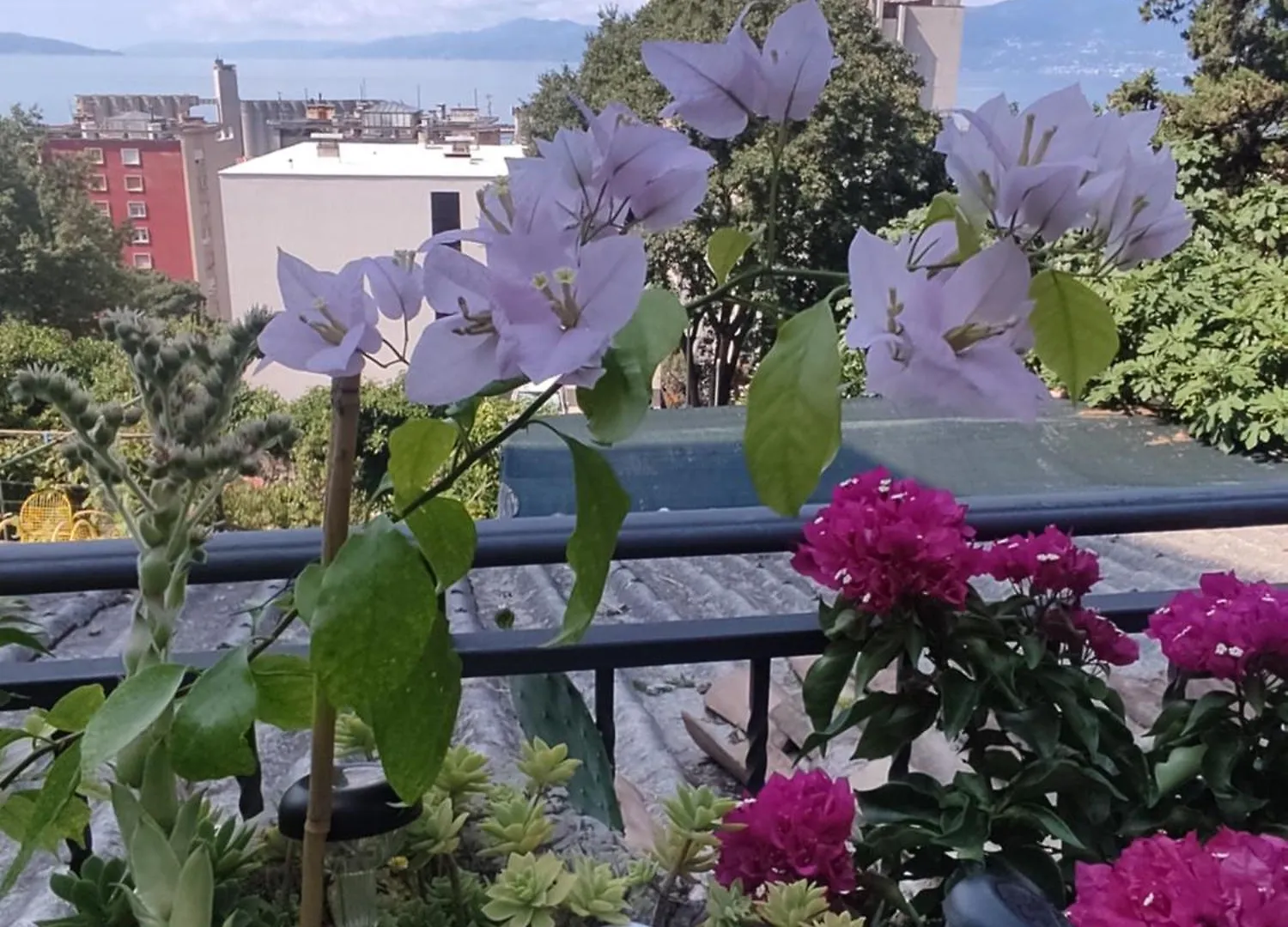 Apartman Bella Vista Rijeka Apartment