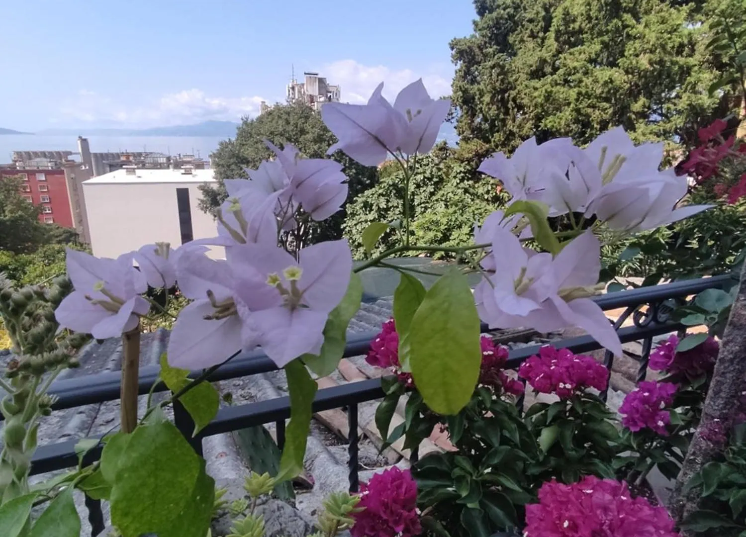Apartman Bella Vista Rijeka Apartment Croatia